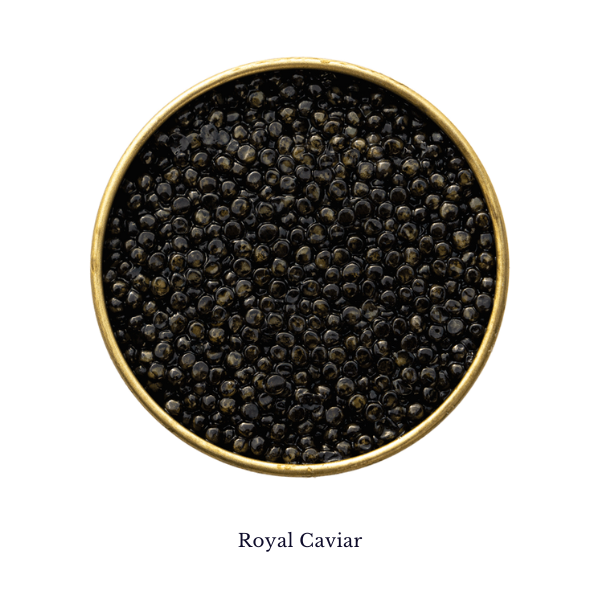 Caviar Lime X-pholiate – PurErb